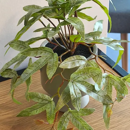 Διαμέρισμα Leaf With Private Parking Βόλος