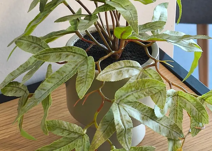 Apartment Leaf With Private Parking Volos